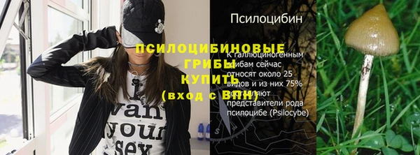 прущая мука Бронницы