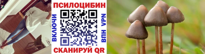 Псилоцибиновые грибы мицелий  Новокузнецк 